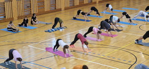 Gymnazi�lny aerobik
