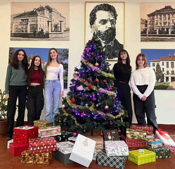 Ko�ko l�sky sa zmest� do krabice od top�nok