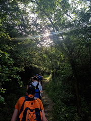 Kurzom pohybov�ch aktiv�t sme zav��ili na�e celoro�n� aktivity z telesnej a �portovej v�chovy