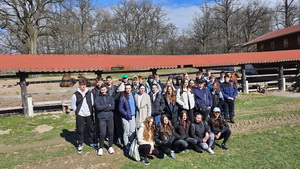 ��elov� cvi�enie