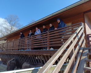 ��elov� cvi�enie