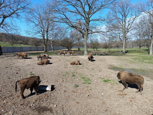 ��elov� cvi�enie