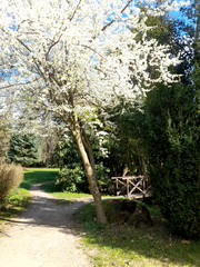 ��elov� cvi�enie