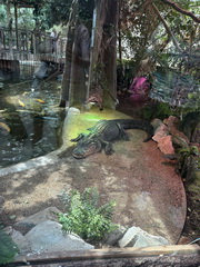 Koncoro�n� exkurzia � Budape��