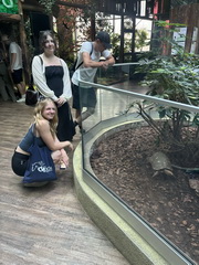 Koncoro�n� exkurzia � Budape��