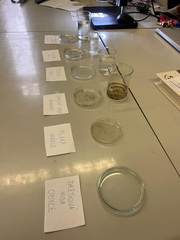 De� vody nie je len 22. 3., ale po cel� rok!