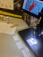 De� vody nie je len 22. 3., ale po cel� rok!