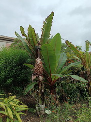 Mobilita u�ite�ov v r�mci programu Erasmus+<br>
(Kurz Outdoor education, Tenerife / Puerto de la Cruz)