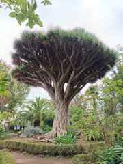 Mobilita u�ite�ov v r�mci programu Erasmus+<br>
(Kurz Outdoor education, Tenerife / Puerto de la Cruz)