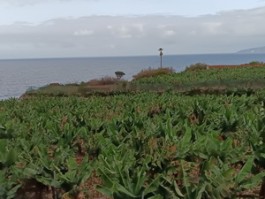 Mobilita u�ite�ov v r�mci programu Erasmus+<br>
(Kurz Outdoor education, Tenerife / Puerto de la Cruz)