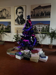 Ko�ko l�sky sa zmest� do krabice od top�nok