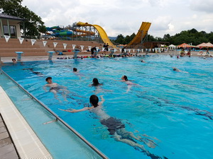 Kurz pohybov�ch aktiv�t v&nbsp;�t�rove