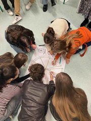 N� rok s&nbsp;DigiPEERs 