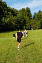 N� rok s&nbsp;DigiPEERs 