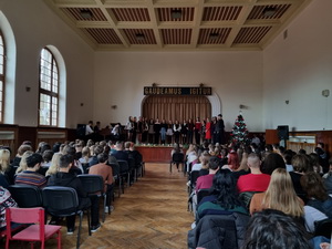 Viano�n� akad�mia 2024