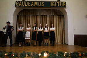 Viano�n� akad�mia 2024