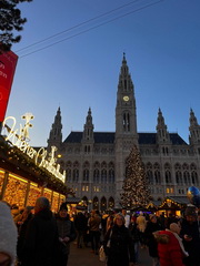 Z�itky z predviano�nej Viedne