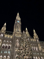 Z�itky z predviano�nej Viedne