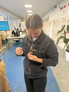 Burza inform�ci� pre z�kladn� �koly