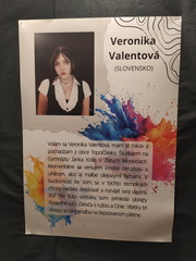 Pod povrchom umenia