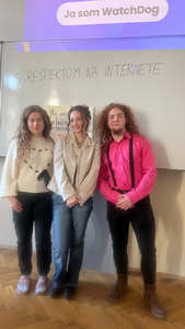 S&nbsp;re�pektom na internete