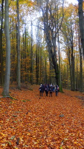 ��elov� cvi�enie �iakov Gymn�zia Janka Kr�a v&nbsp;pr�rode